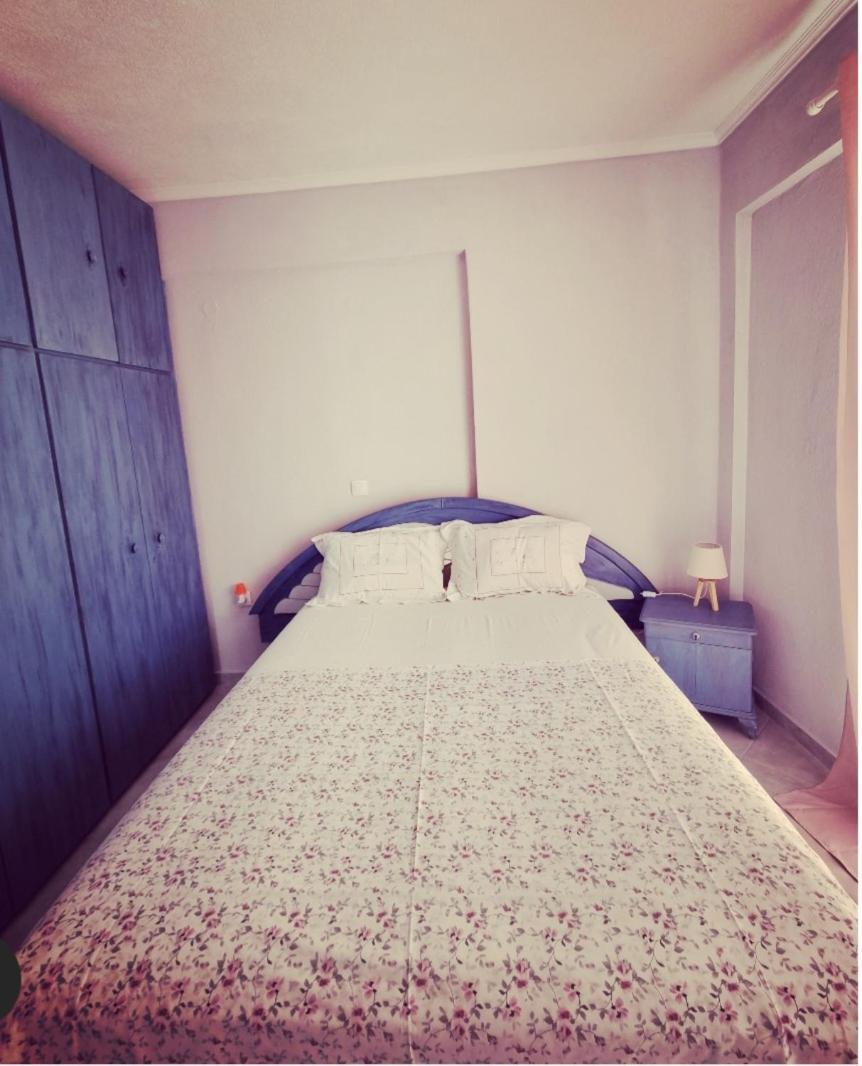 Apartment Tararas *
